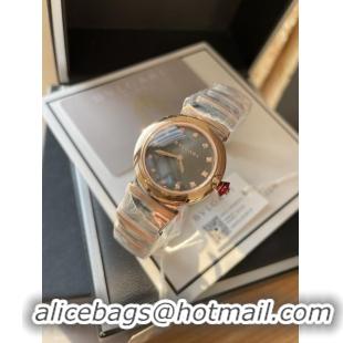 Luxury Bvlgari Watch 28MM BVW00008-7