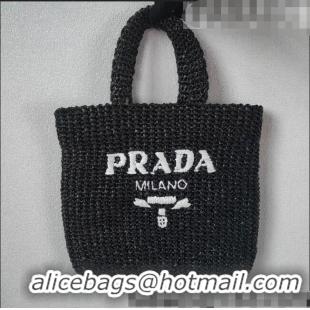 Popular Style Prada Small Raffia Tote bag 1BG422 Black 2022