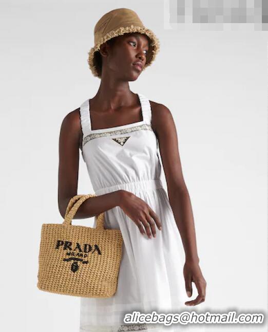 Popular Style Prada Small Raffia Tote bag 1BG422 Black 2022