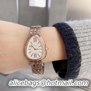 Luxurious Bvlgari Watch BVW00024-2