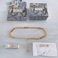 Luxurious Dior Waist chain 15MM CDB00004