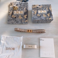 Fashion Dior Belt 20MM CDB00024