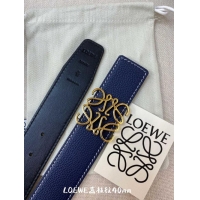 Grade Loewe Belt 40M...