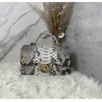 Top Grade Chanel Snake skin mini flap bag with top handle AS2431 gray