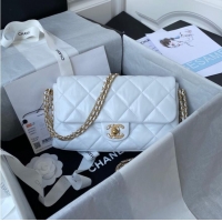 Famous Brand Chanel lambskin Shoulder Bag AS2563 white