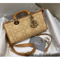 Promotional Dior Lady D-Joy Bag in Natural Beige Cannage Raffia CD1342 2022