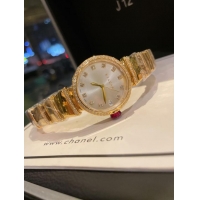 Top Design Bvlgari Watch BVW00026-2