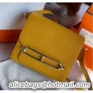 Super Quality Hermes Roulis 19cm Evercolor 9D H9003 yellow&Silver