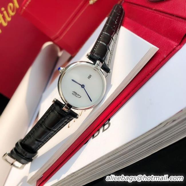 Sumptuous Cartier Watch CTW00038-1