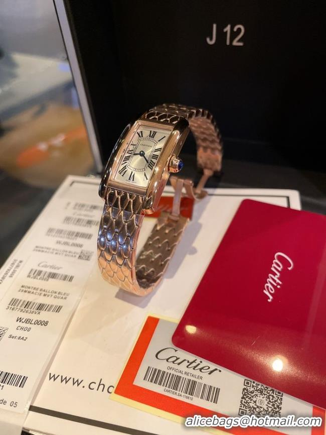 Pretty Style Cartier Watch 34.8MM CTW00086