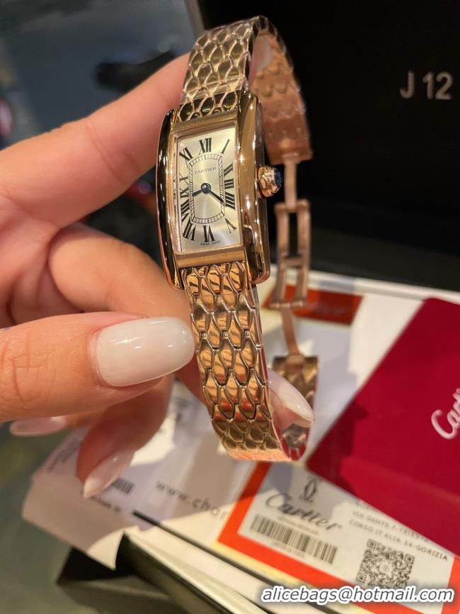 Pretty Style Cartier Watch 34.8MM CTW00086