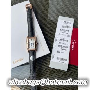 Lower Price Cartier Watch 34.8MM CTW00089-1