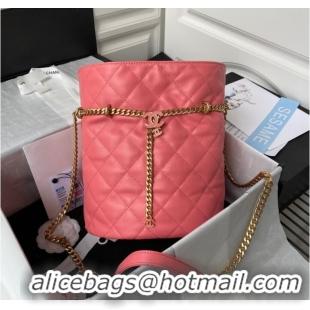 Top Design Chanel Drawstring Bag & Gold Metal AS3117 pink