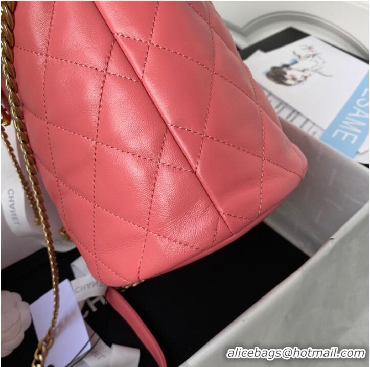 Top Design Chanel Drawstring Bag & Gold Metal AS3117 pink