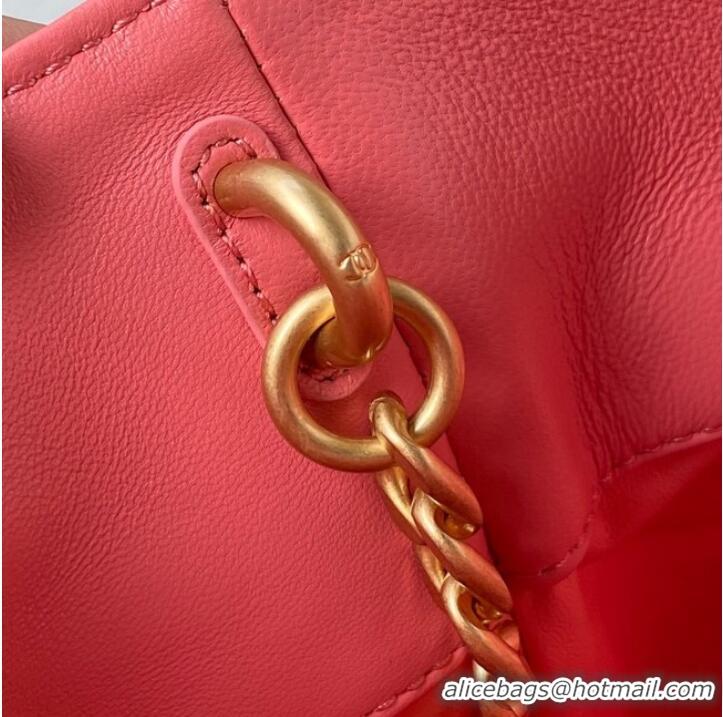 Top Design Chanel Drawstring Bag & Gold Metal AS3117 pink