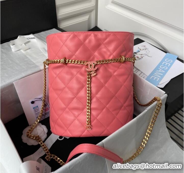 Top Design Chanel Drawstring Bag & Gold Metal AS3117 pink