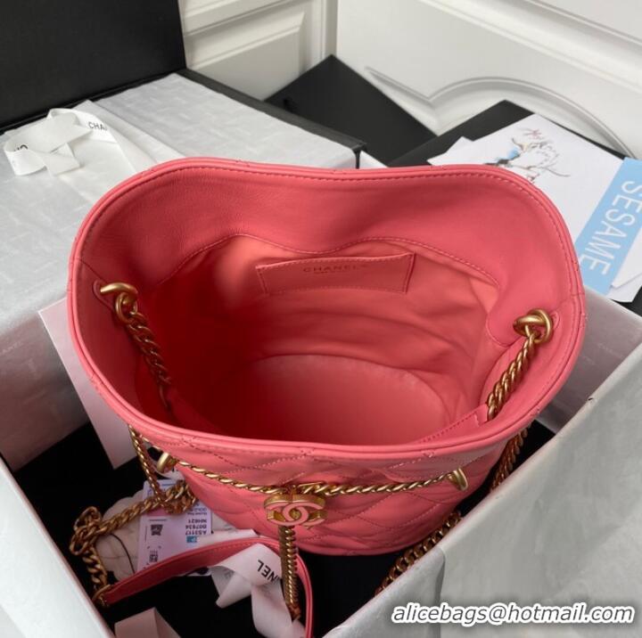 Top Design Chanel Drawstring Bag & Gold Metal AS3117 pink