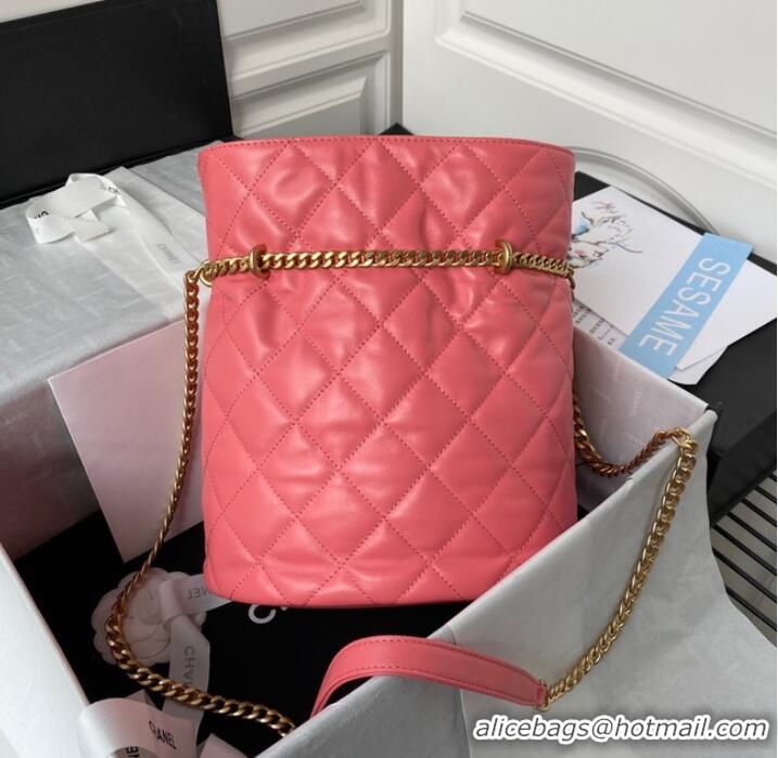 Top Design Chanel Drawstring Bag & Gold Metal AS3117 pink