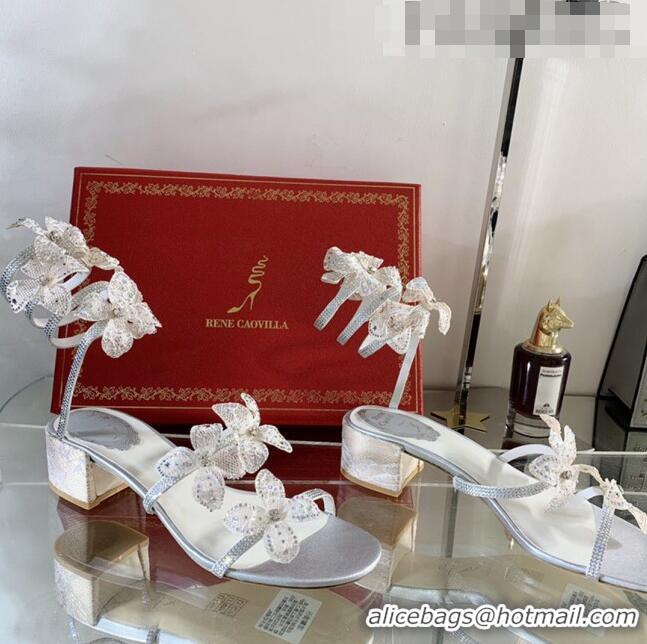 Popular Style Rene Caovilla Sandals with lower Heels FLORIANE 4.5cm Heel RC1058 White/Silver 2022