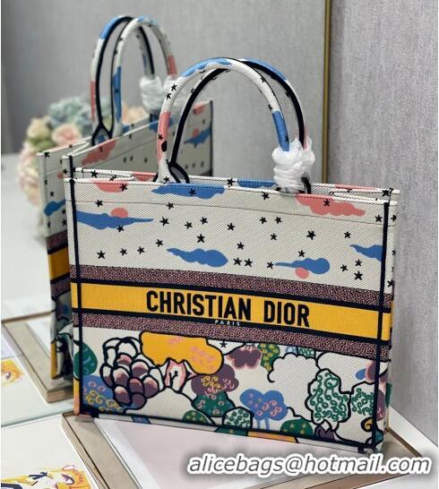 Cheap Design Dior Large Book Tote Bag in Latte White Ciel de Reve Embroidery M941 2022