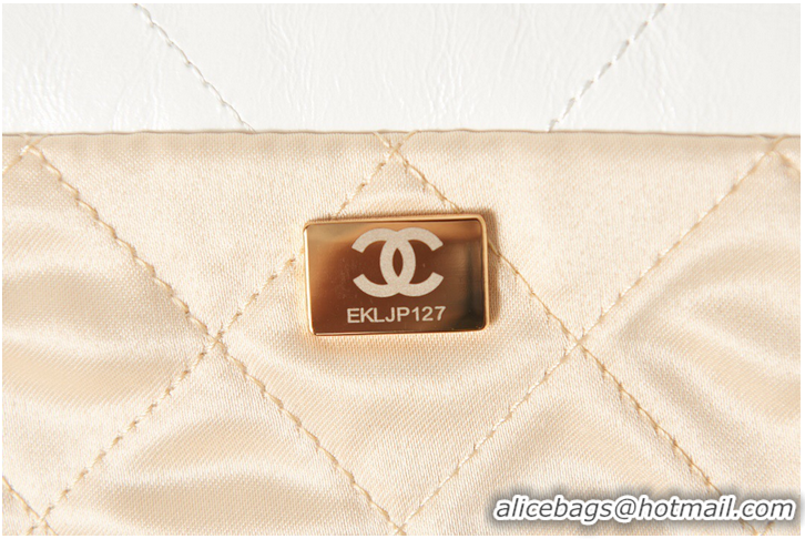 Famous Brand CHANEL 22 SMALL HANDBAG AS3260 white&gold Metal