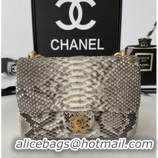 Reasonable Price Chanel SMALL FLAP BAG Snakeskin & Gold-Tone Metal AS3214 gray