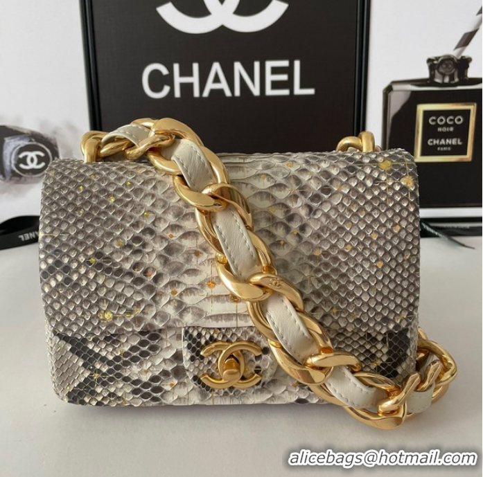 Reasonable Price Chanel SMALL FLAP BAG Snakeskin & Gold-Tone Metal AS3214 gray