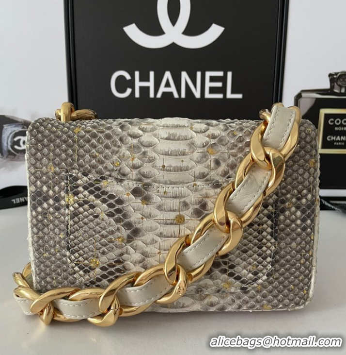 Reasonable Price Chanel SMALL FLAP BAG Snakeskin & Gold-Tone Metal AS3214 gray