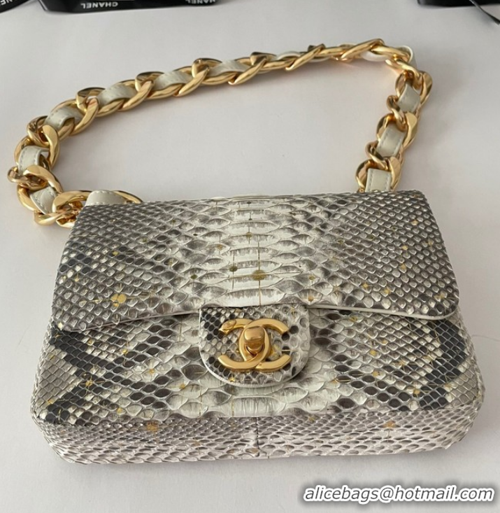 Reasonable Price Chanel SMALL FLAP BAG Snakeskin & Gold-Tone Metal AS3214 gray