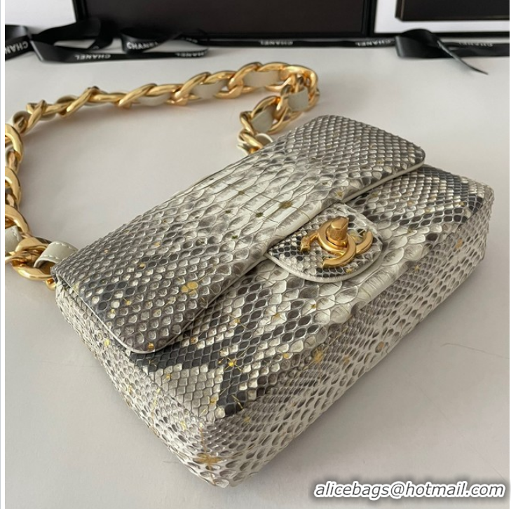 Reasonable Price Chanel SMALL FLAP BAG Snakeskin & Gold-Tone Metal AS3214 gray