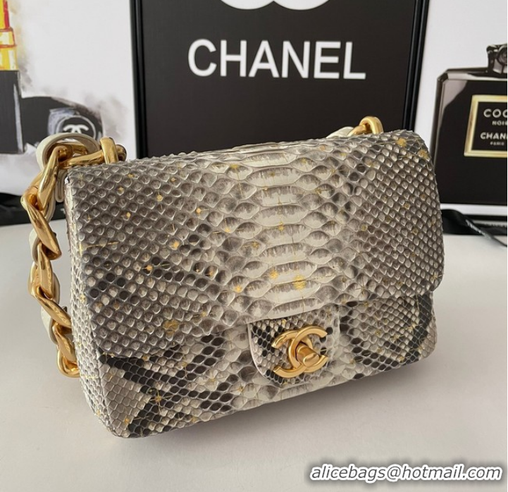 Reasonable Price Chanel SMALL FLAP BAG Snakeskin & Gold-Tone Metal AS3214 gray