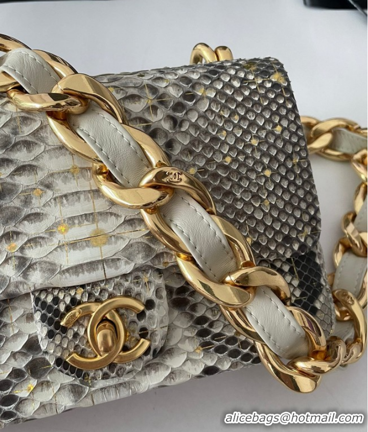 Reasonable Price Chanel SMALL FLAP BAG Snakeskin & Gold-Tone Metal AS3214 gray