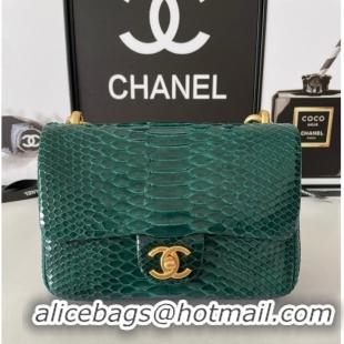 Top Quality Chanel SMALL FLAP BAG Snakeskin & Gold-Tone Metal AS3214 green