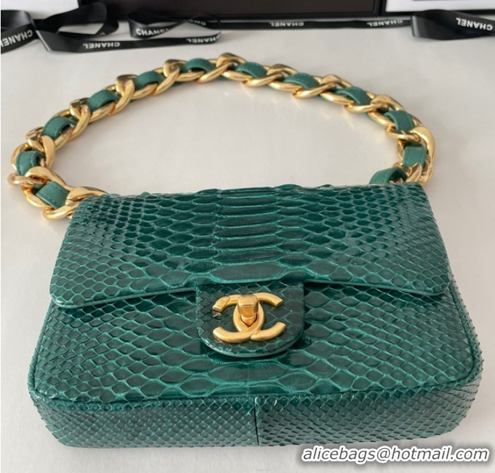 Top Quality Chanel SMALL FLAP BAG Snakeskin & Gold-Tone Metal AS3214 green