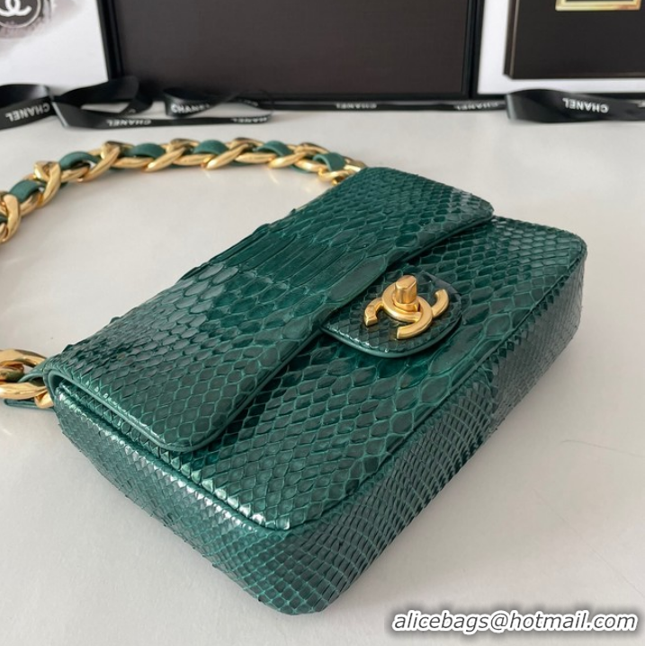 Top Quality Chanel SMALL FLAP BAG Snakeskin & Gold-Tone Metal AS3214 green