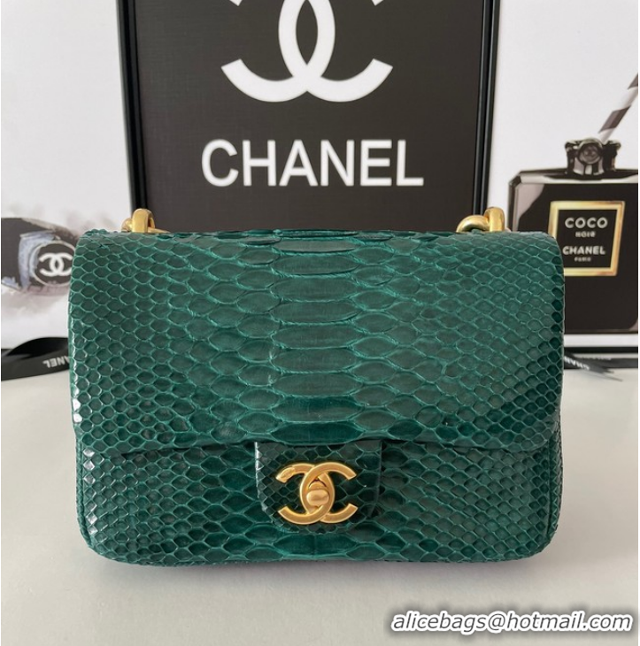 Top Quality Chanel SMALL FLAP BAG Snakeskin & Gold-Tone Metal AS3214 green