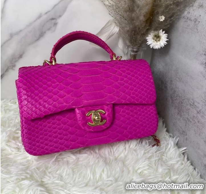 Unique Style Chanel Snake skin mini flap bag with top handle AS2431 PLUM PURPLE