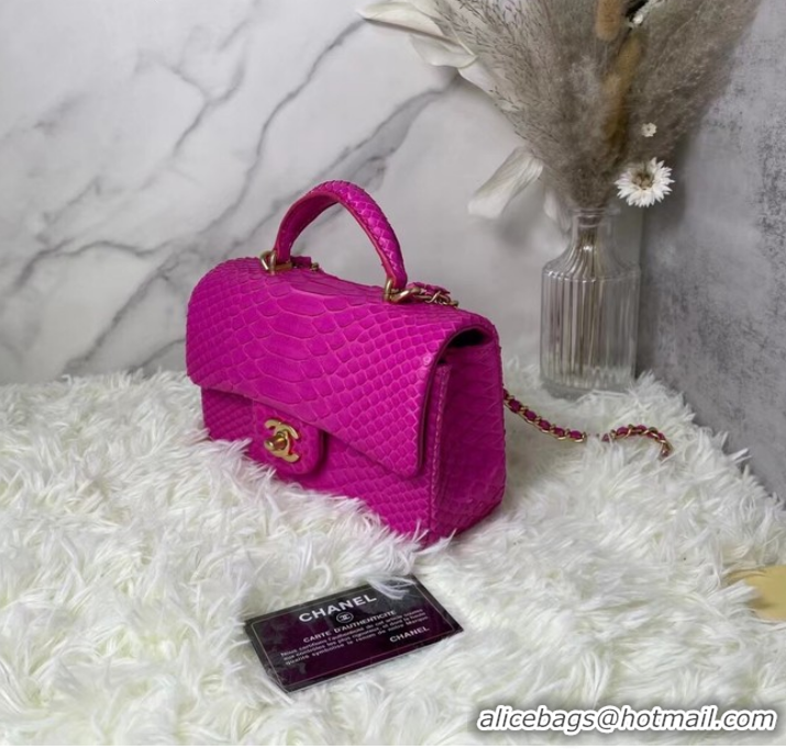 Unique Style Chanel Snake skin mini flap bag with top handle AS2431 PLUM PURPLE