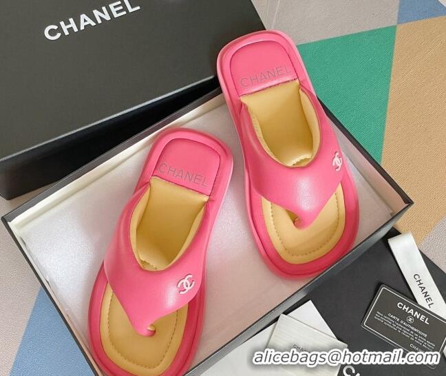 Top Design Chanel Lambskin Flat Thong Sandals Dark Pink 052024