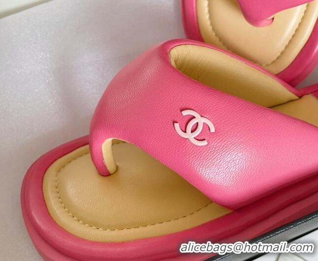 Top Design Chanel Lambskin Flat Thong Sandals Dark Pink 052024