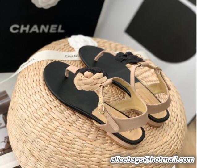 Stylish Chanel Grosgrain Camellia Bloom Flat Thong Sandals Beige/Black 052036