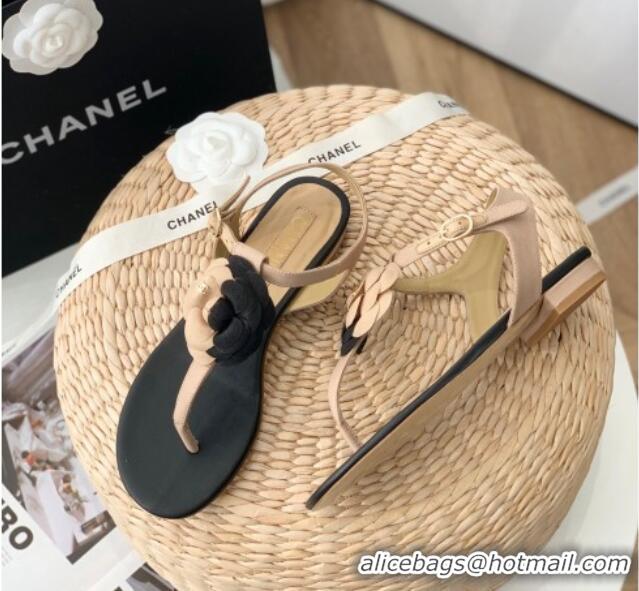 Stylish Chanel Grosgrain Camellia Bloom Flat Thong Sandals Beige/Black 052036