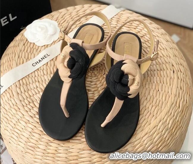 Stylish Chanel Grosgrain Camellia Bloom Flat Thong Sandals Beige/Black 052036