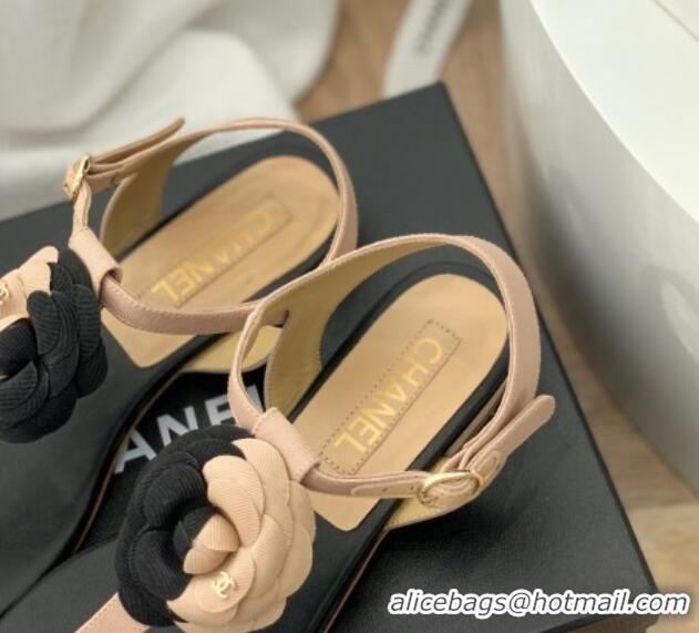 Stylish Chanel Grosgrain Camellia Bloom Flat Thong Sandals Beige/Black 052036