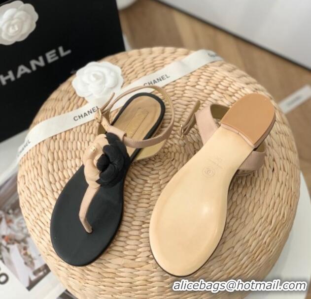 Stylish Chanel Grosgrain Camellia Bloom Flat Thong Sandals Beige/Black 052036