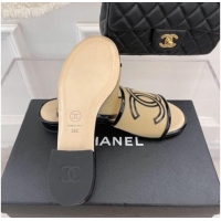 Good Looking Chanel CC Mesh Flat Slide Sandals Beige 052017