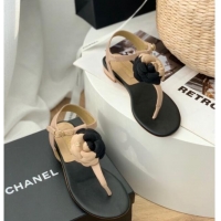 Stylish Chanel Grosgrain Camellia Bloom Flat Thong Sandals Beige/Black 052036