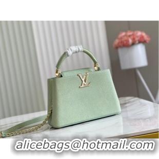 Super Quality Louis Vuitton CAPUCINES BB M48865 light green