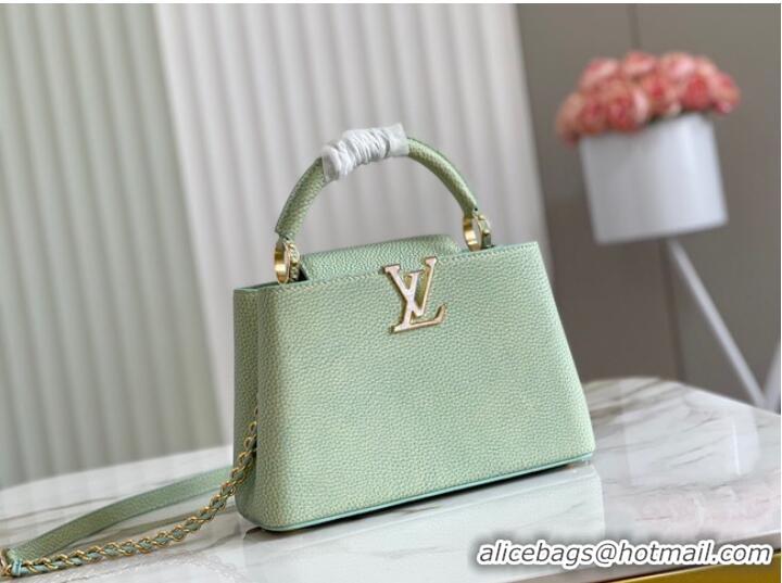 Super Quality Louis Vuitton CAPUCINES BB M48865 light green