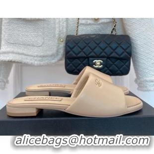 Durable Chanel Lambskin Flat Slide Sandals Beige 070108